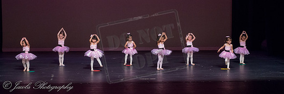 DSC05401