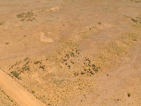 DJI_0024
