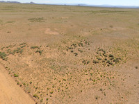 DJI_0023