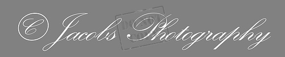 H-Logo