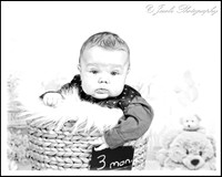 3 Months Old