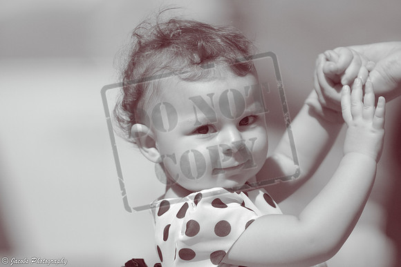 _DSC7642