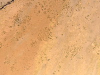 DJI_0016
